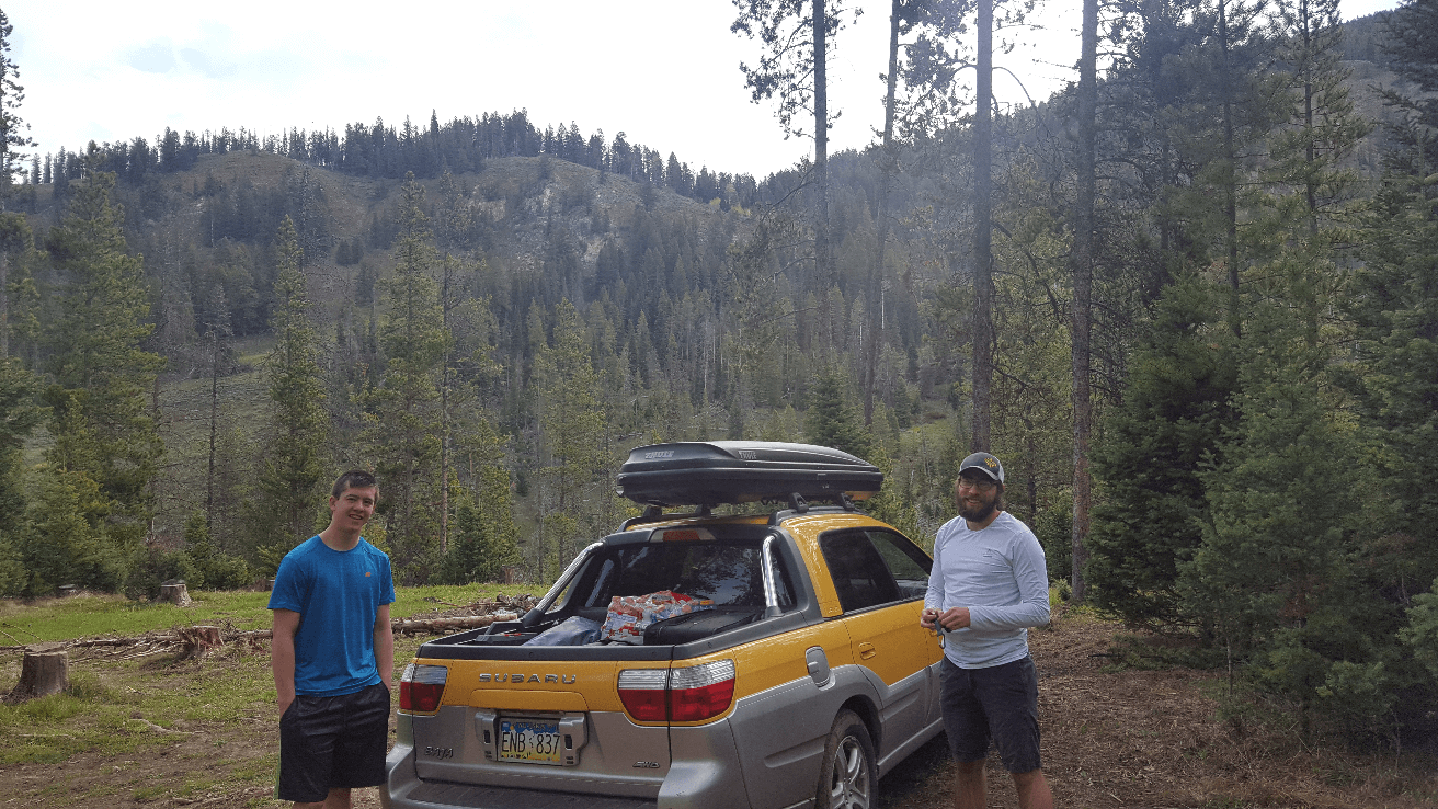 yellow subaru baja in forest