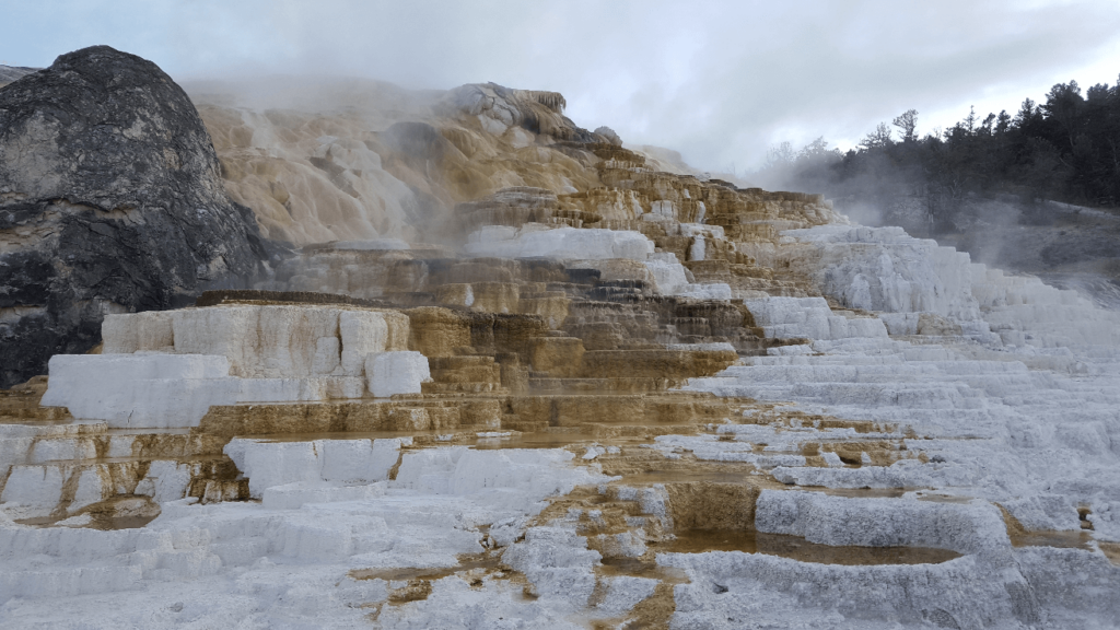mammoth hot springs travertine pools