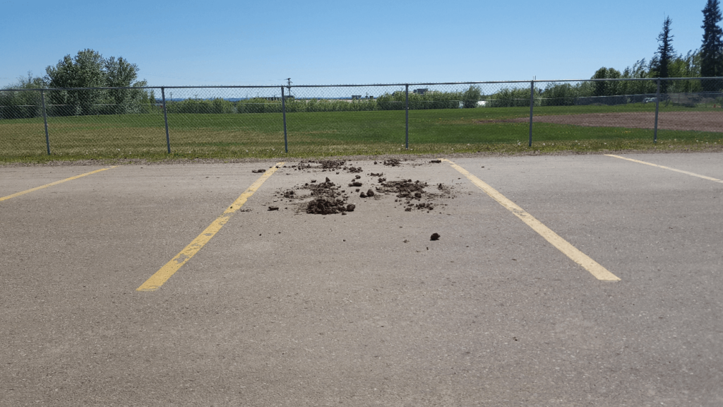 pile of mud in parking space