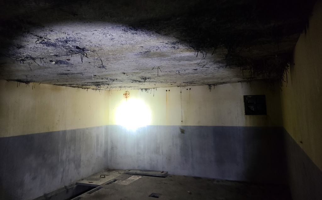 concrete walls and asbestos ceiling
