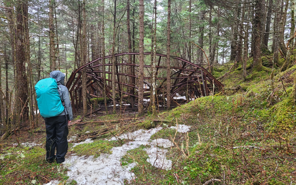 metal building skeleton in a forest