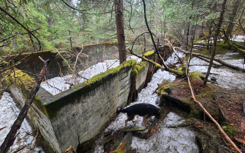 concrete foundation for old ww2 building