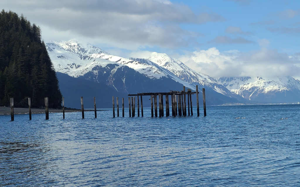 ww2 era dock piles