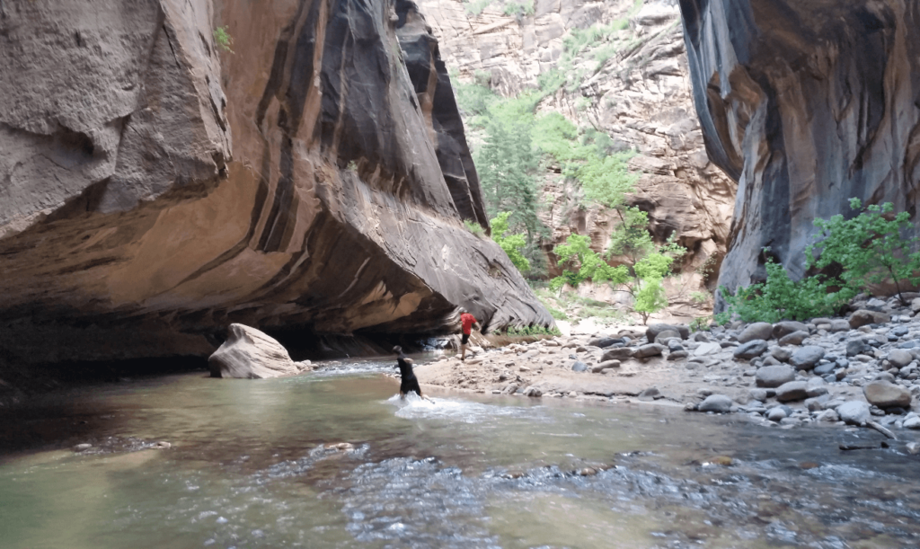 mike and joseph walking up a river in a huge sandstone canyon