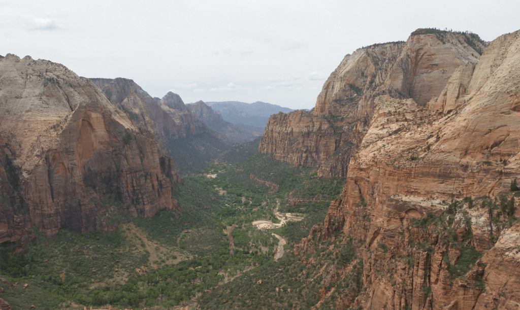 looking down a wide sandstone canyon with a green bottom