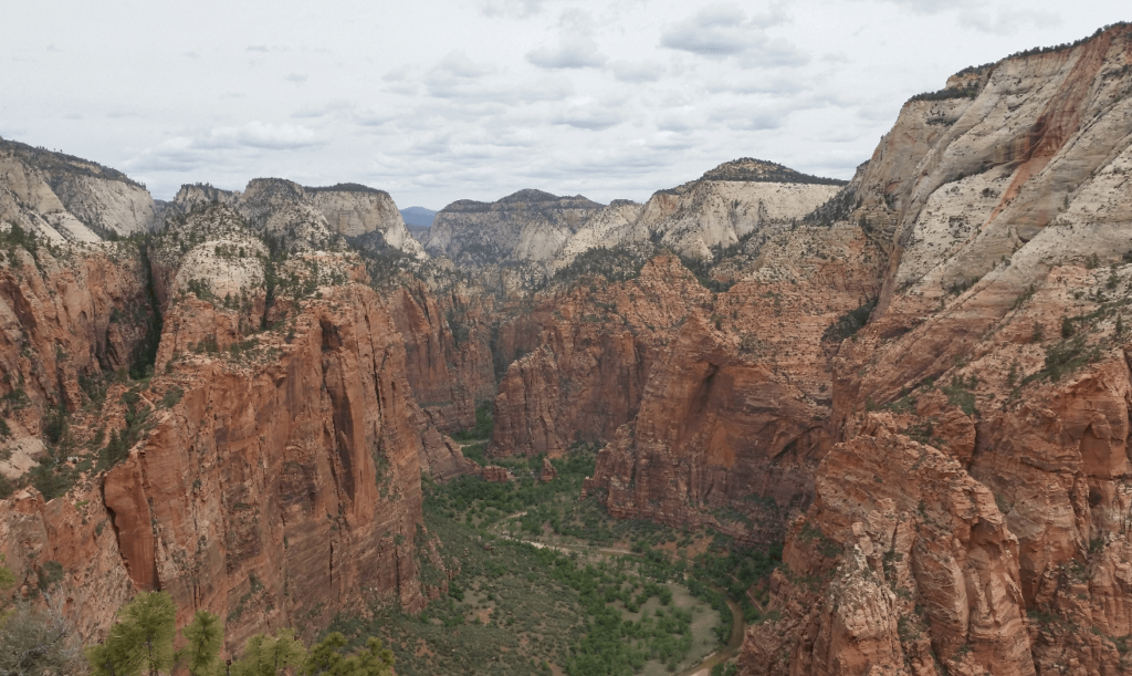 looking up a wide sandstone canyon with a green bottom