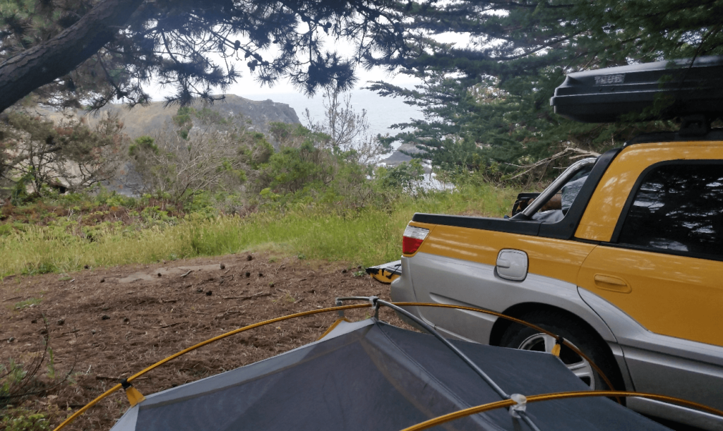 camping in a pine forest with the ocean in the background