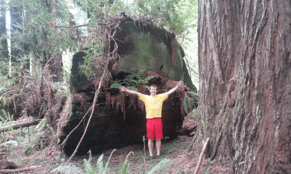 joseph standing next to a redwood that has been cut down- the redwood must be at least 10 feet in diameter