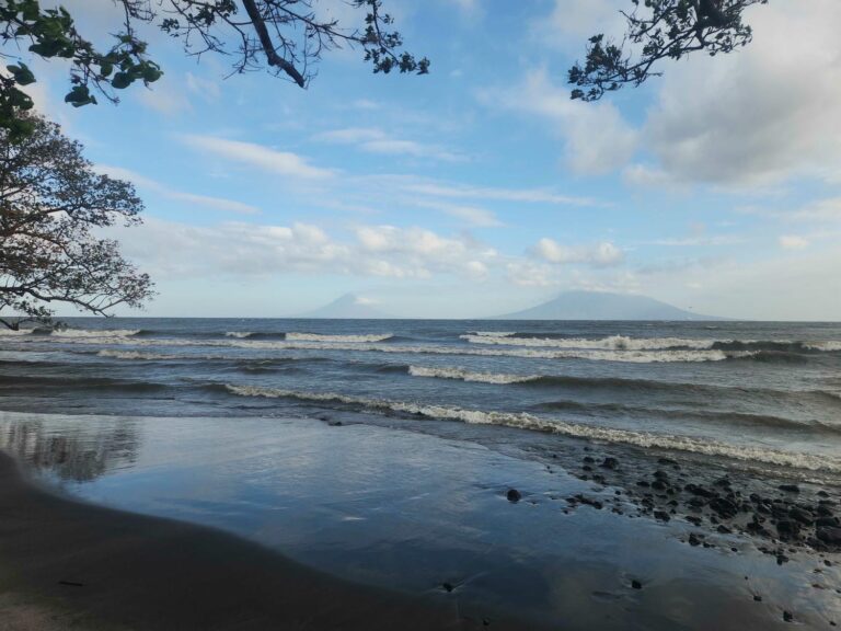 20260225_072326_compressed_resize