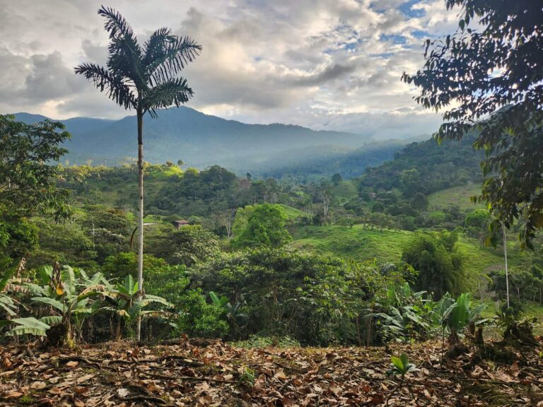 Northern Peru_50